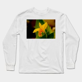 ali daffodil Long Sleeve T-Shirt